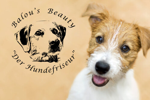 Balou´s Beauty - "Der Hundefriseur"